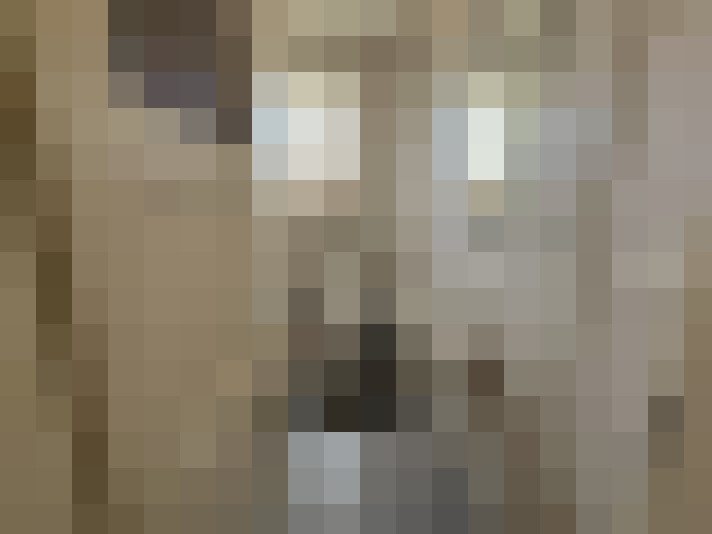  / #8