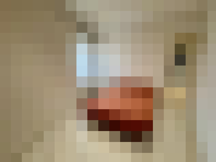 / #6