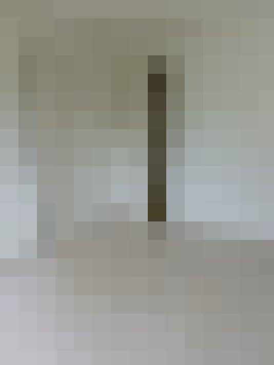  / #8