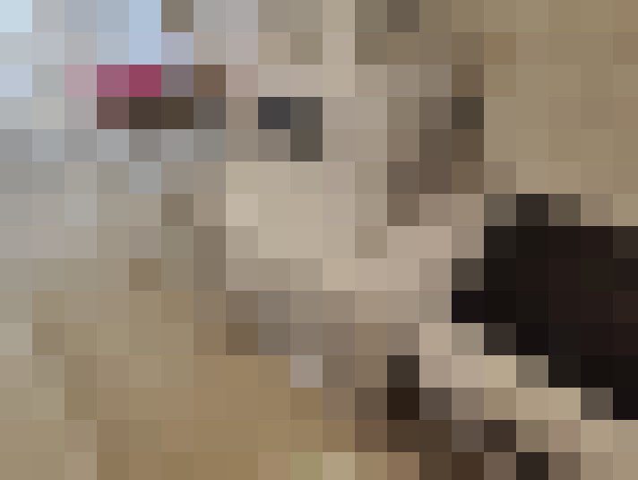  / #12