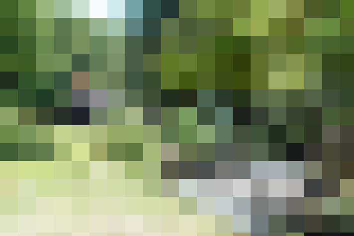  / #16