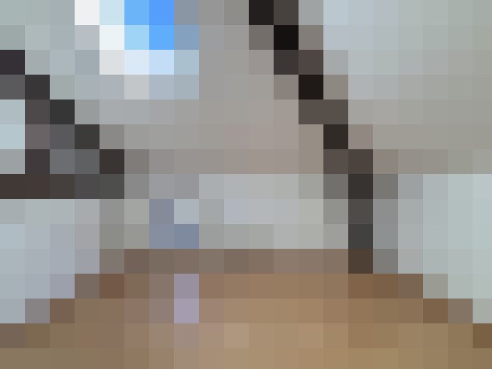  / #8