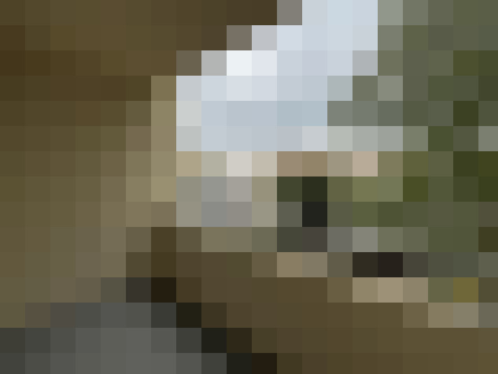  / #8