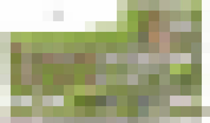  / #15