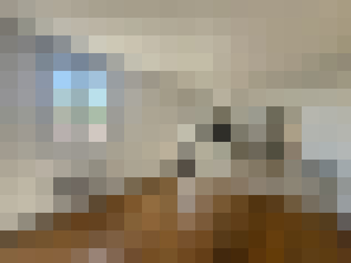  / #8