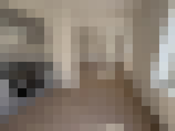  / #8