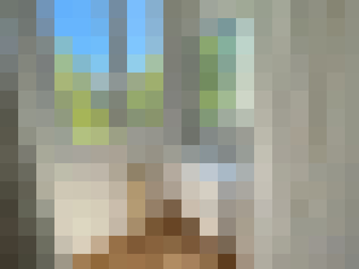  / #8