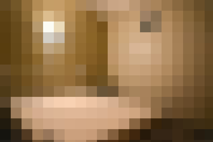  / #8