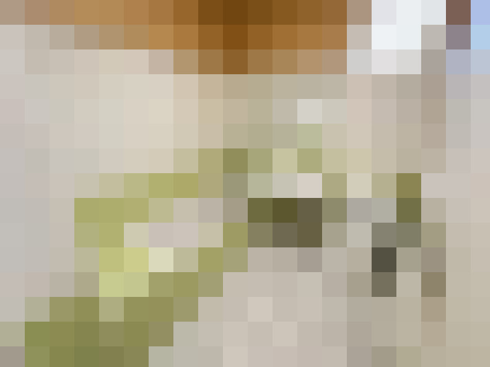  / #14