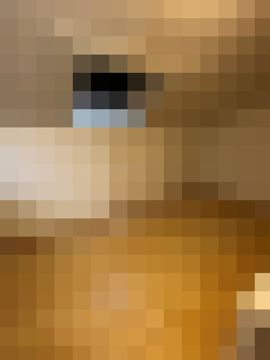  / #18
