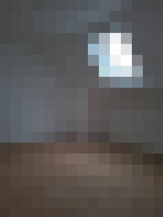  / #8