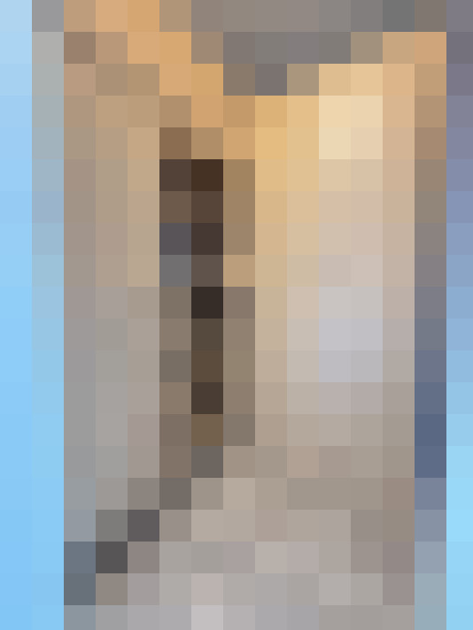 / #6