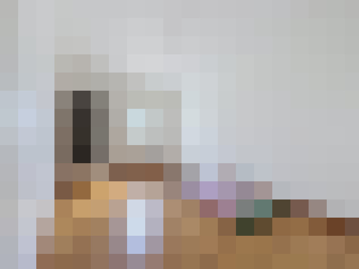  / #15