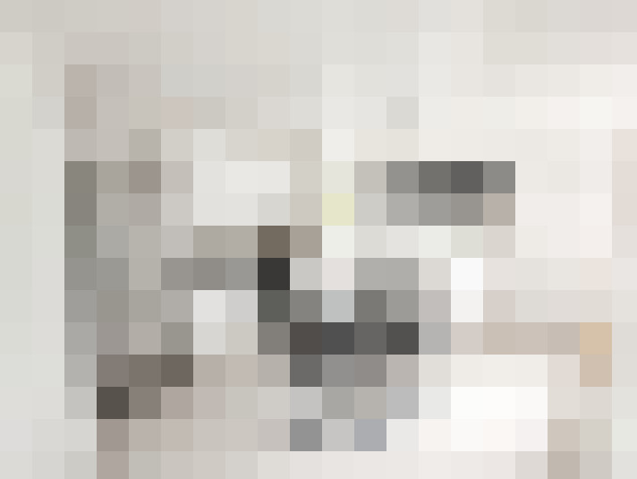  / #14