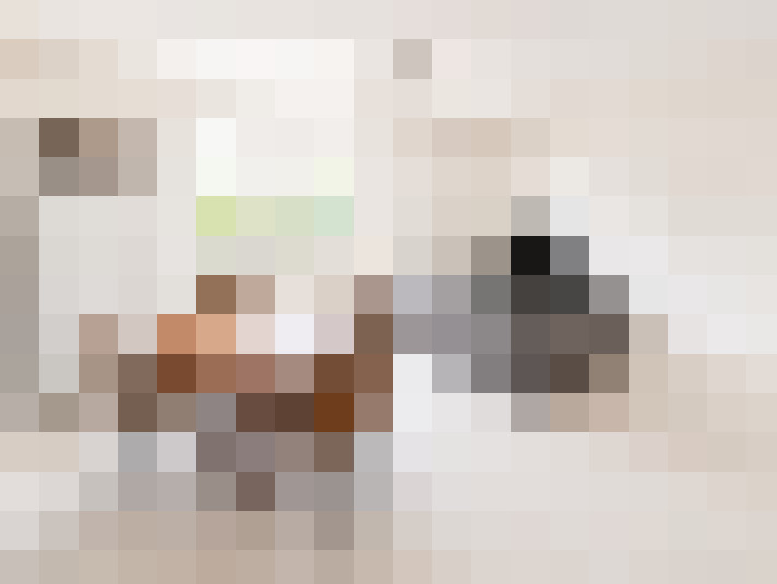 / #17