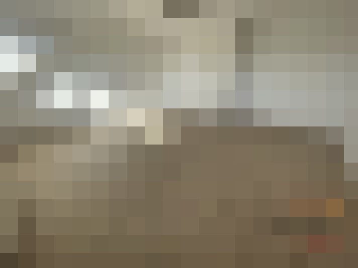  / #8