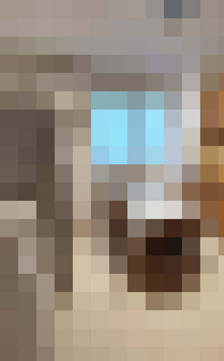  / #16