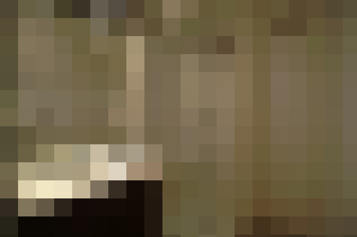  / #6