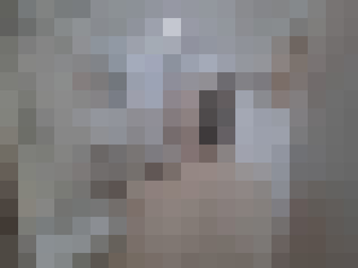 / #11