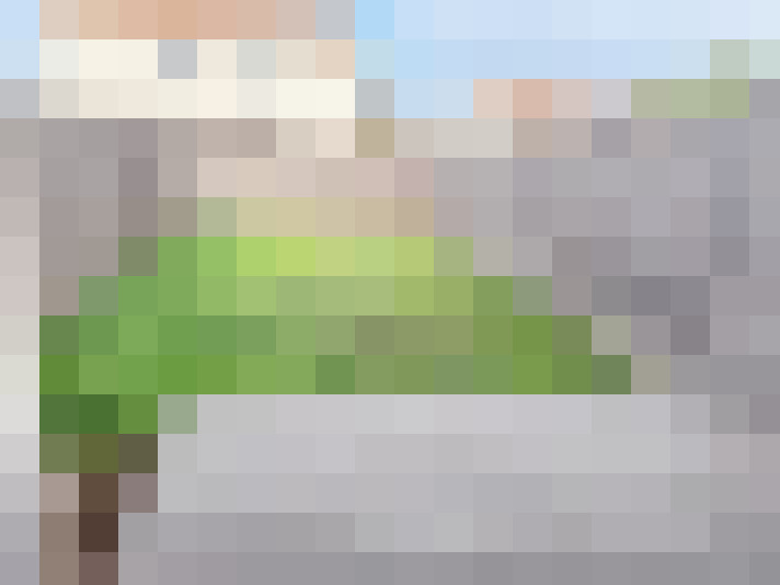  / #11