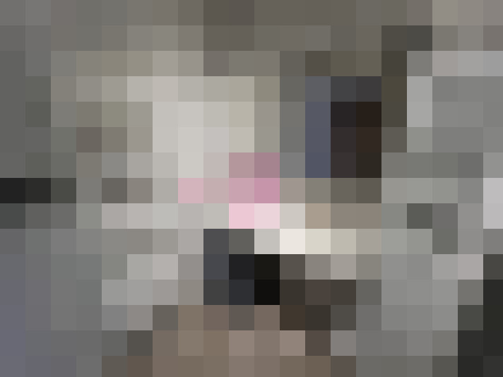  / #18