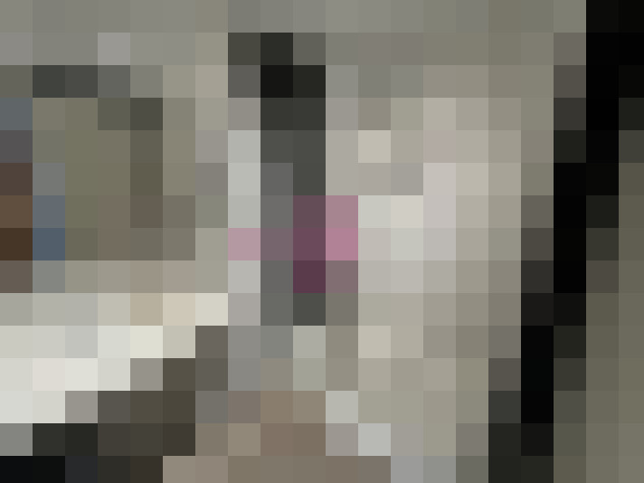  / #16