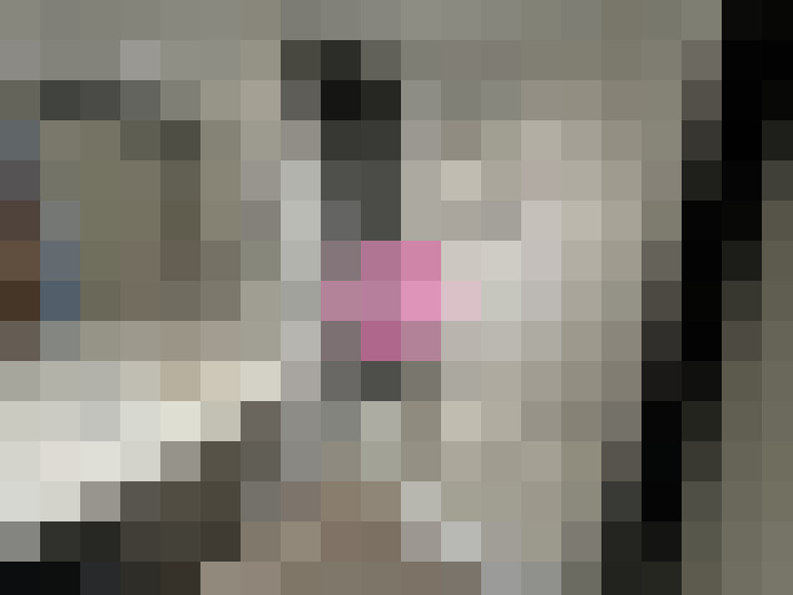  / #15