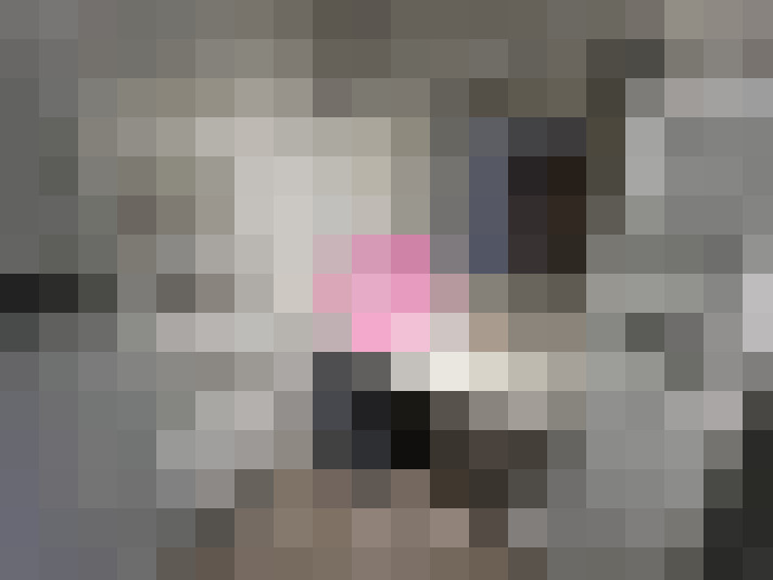  / #17