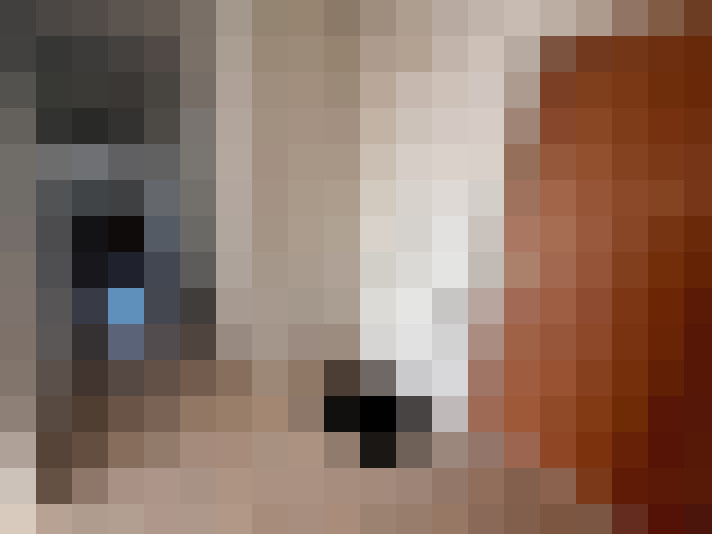  / #11