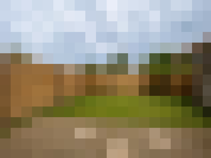  / #8