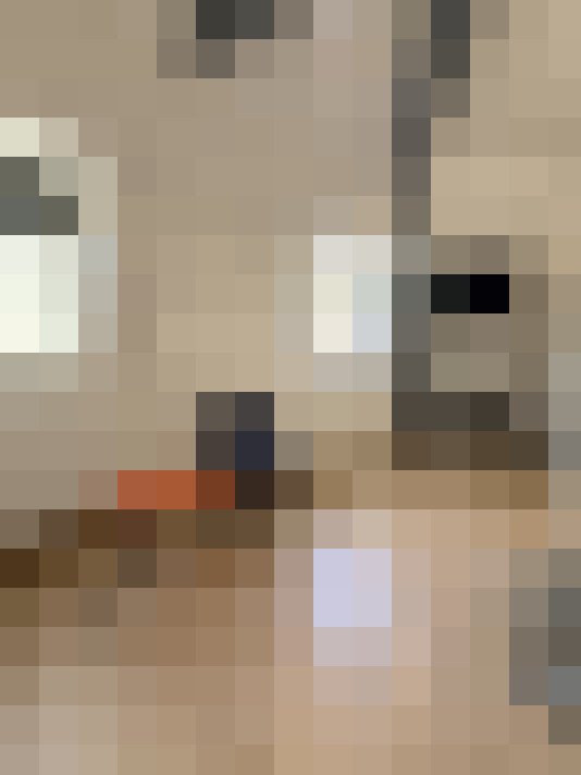  / #3