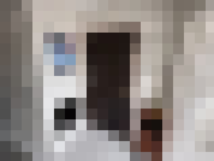  / #8