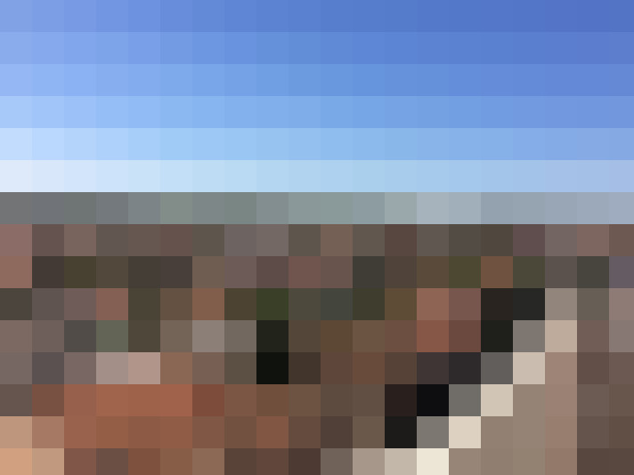  / #6