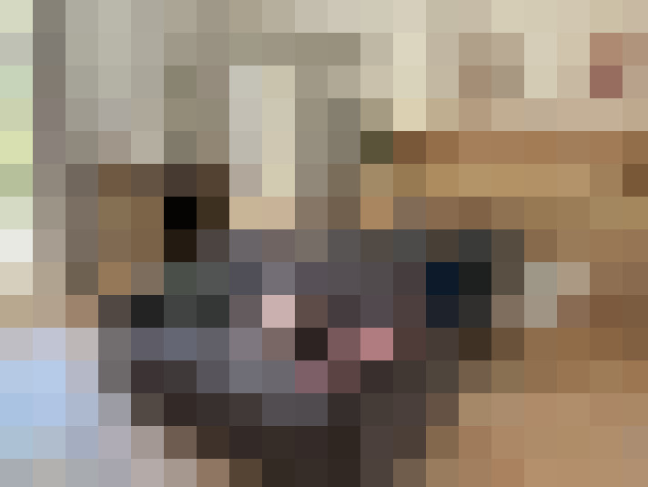  / #2