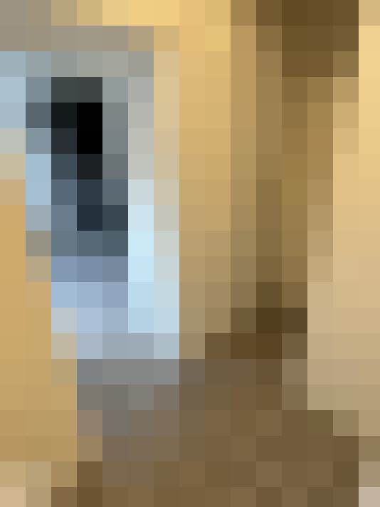  / #11