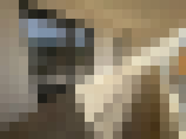 Appartement à Vescovato