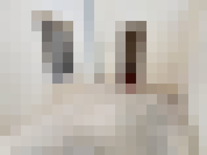  / #8