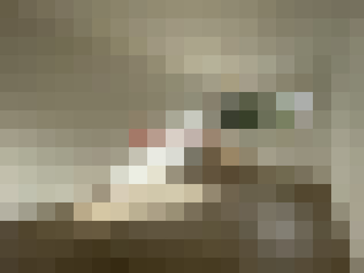  / #6