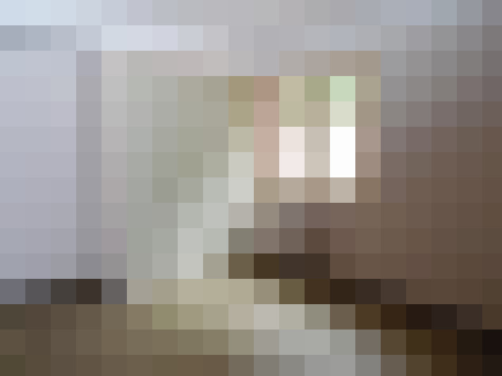  / #15