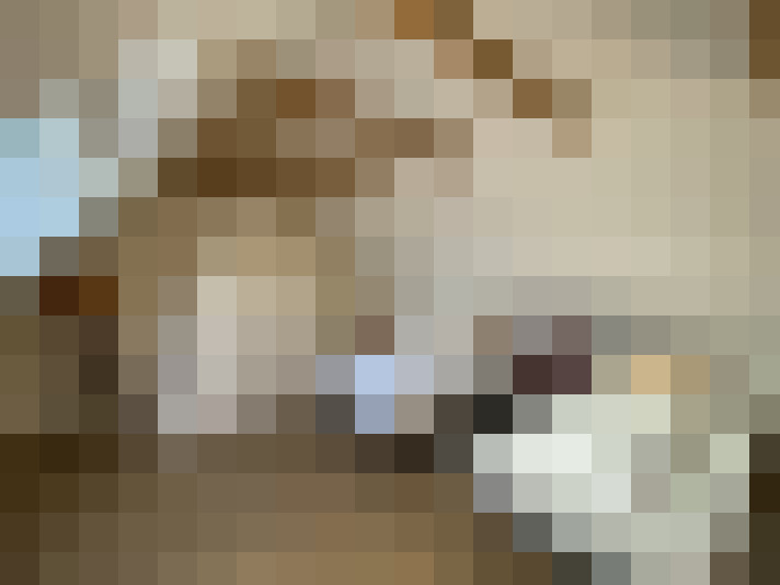  / #14