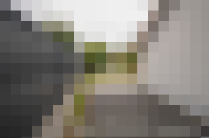  / #18