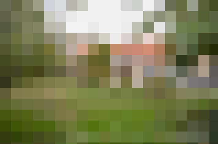  / #14