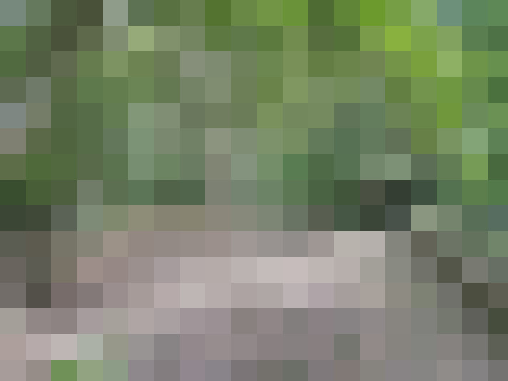 / #17