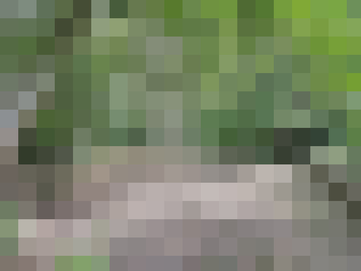  / #16