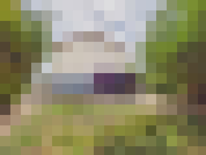 / #13
