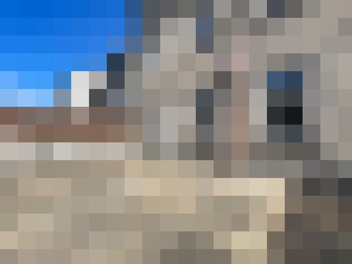 / #14