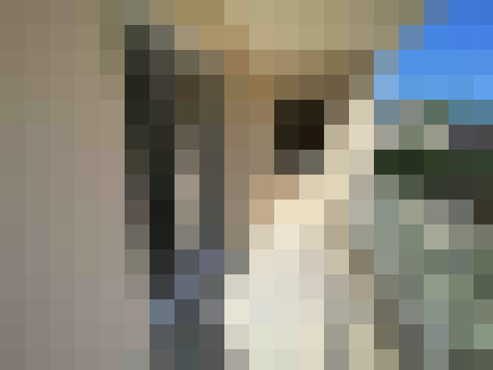  / #9