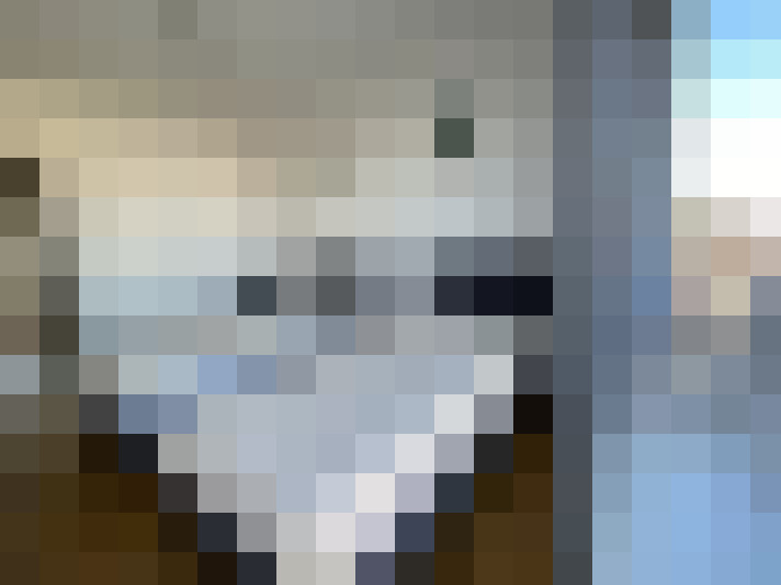  / #15