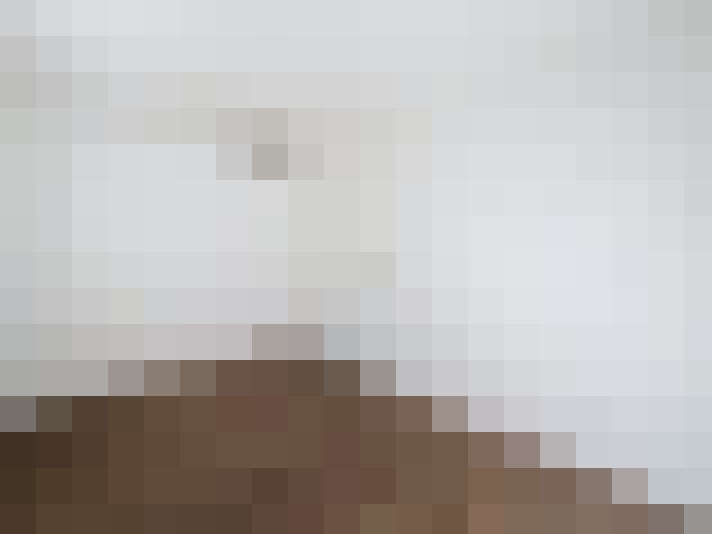  / #15