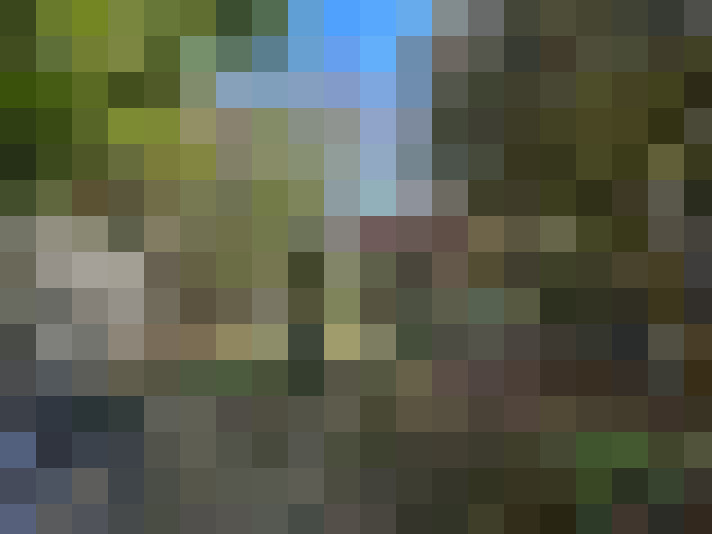  / #7